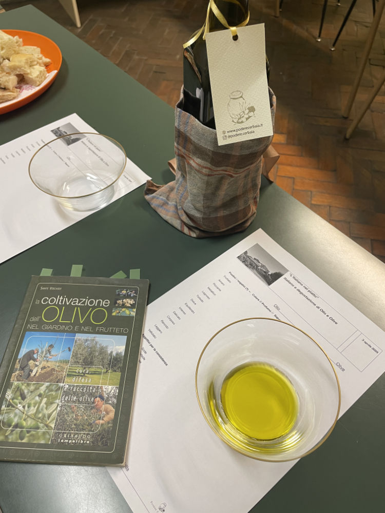 ExtraVirginOliveOil_course
