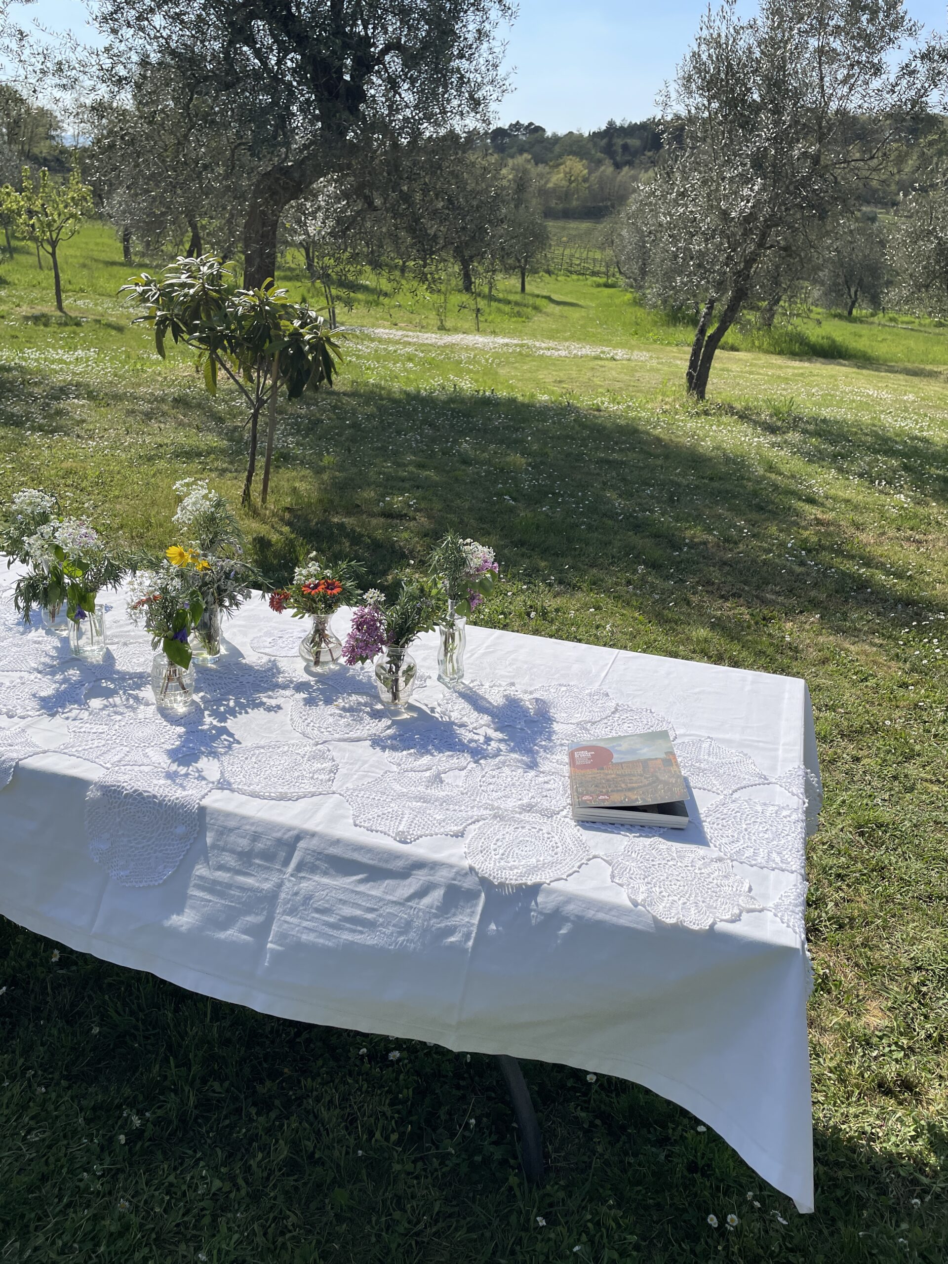 Learn and relax. A table on the grass under olive trees