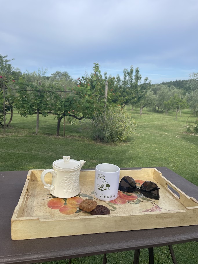 Table on the grass with coffe and sunglasses
